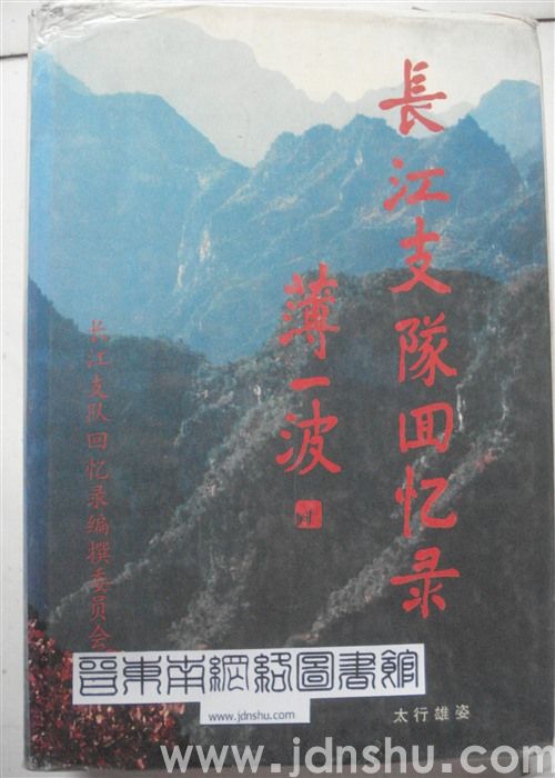 长江支队回忆录