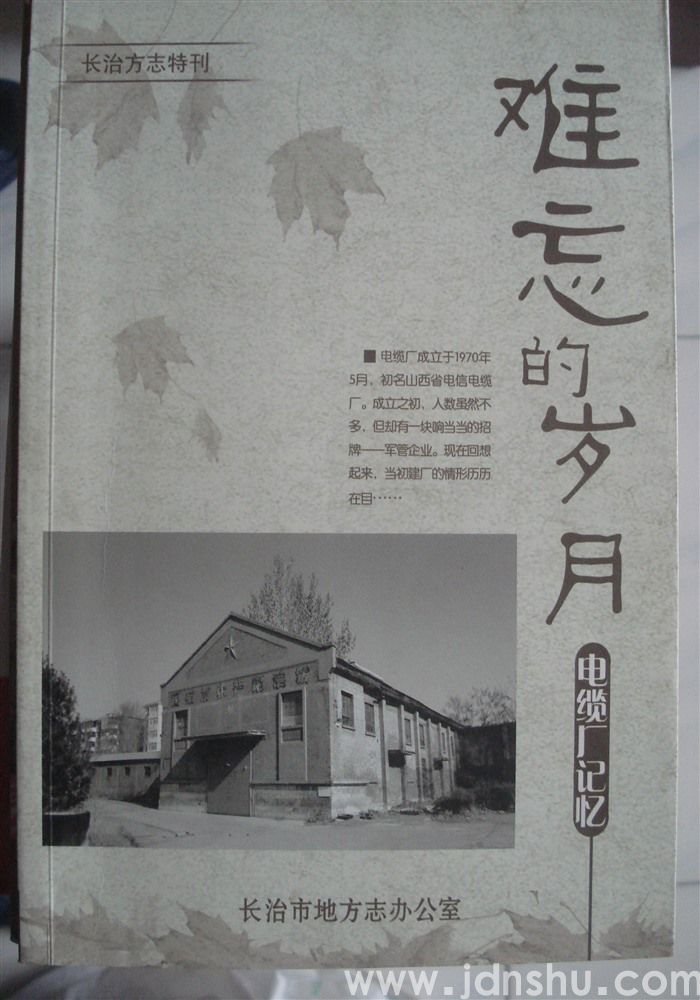 难忘的岁月·电缆厂记忆