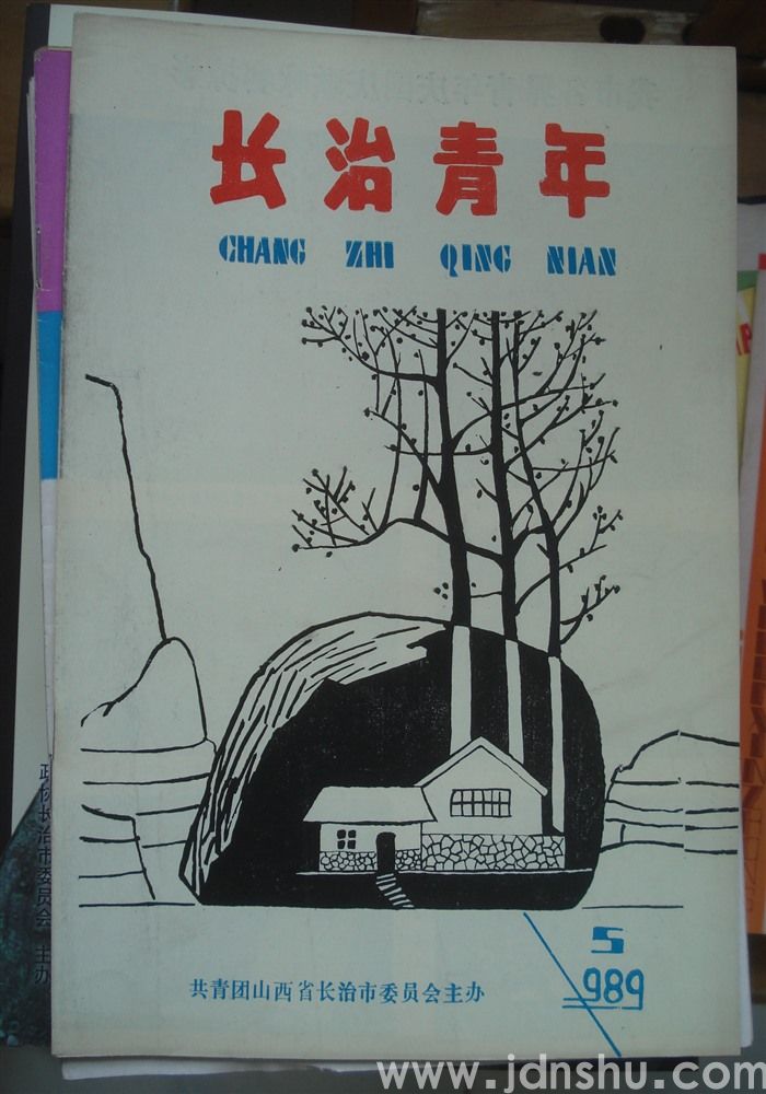 长治青年 1989-5（总第11期）