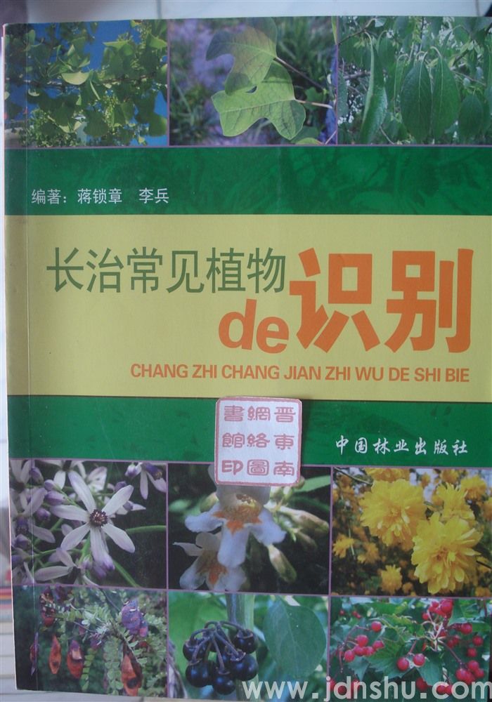 长治常见植物的识别