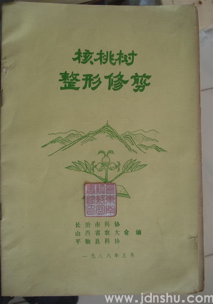 核桃树整形修剪