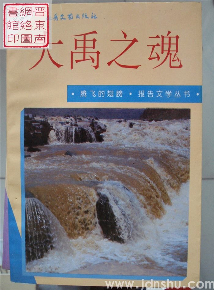 腾飞的翅膀·报告文学丛书：大禹之魂