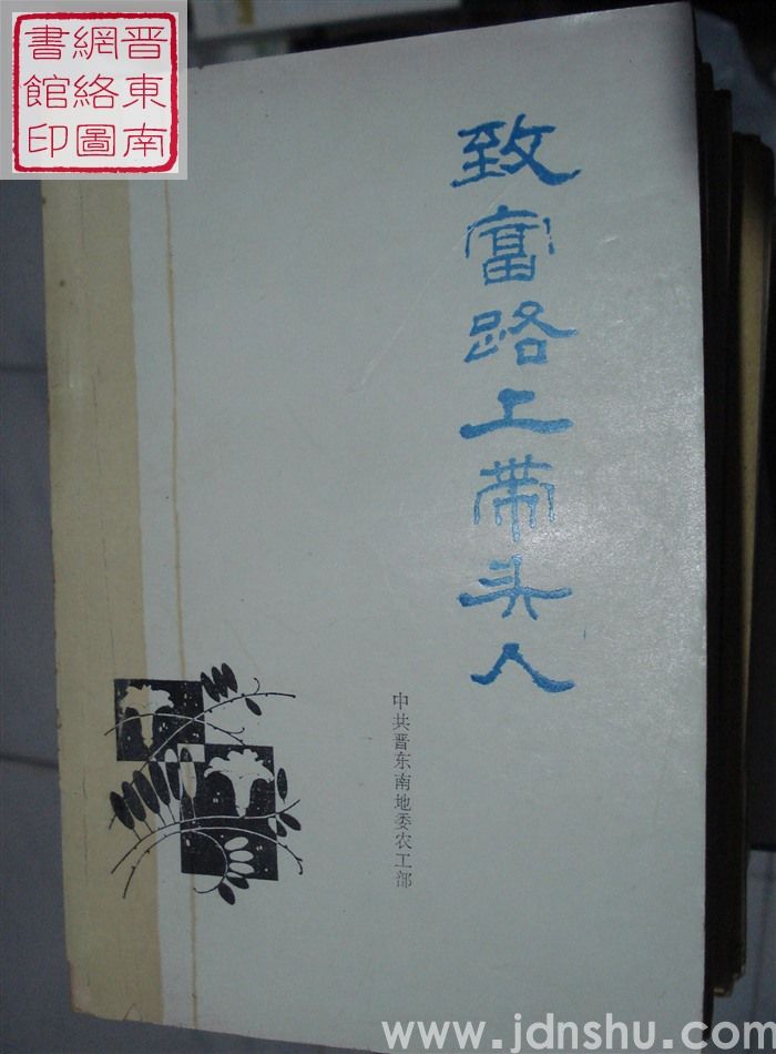 致富路上带头人