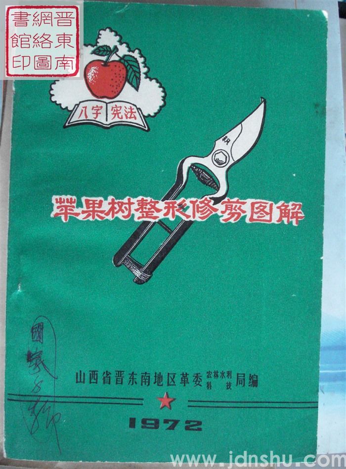 苹果树整形修剪图解