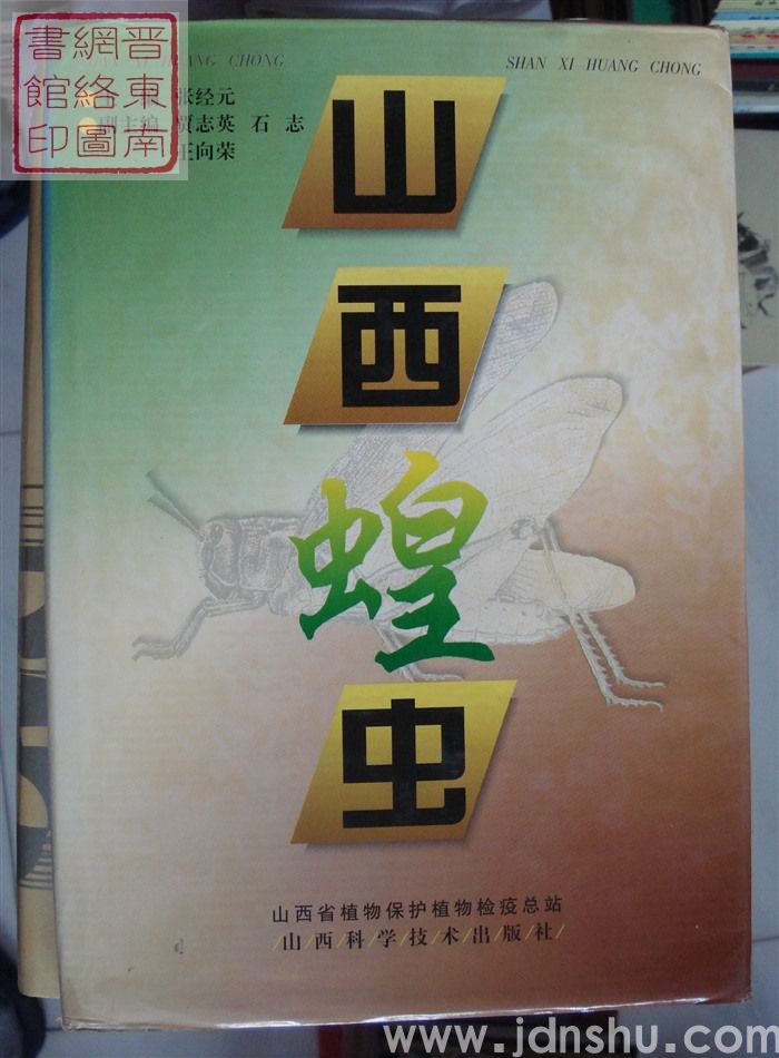 山西蝗虫