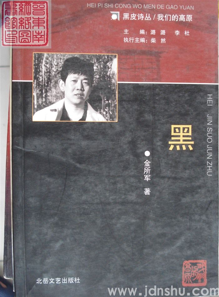 黑皮诗丛·我们的高原：黑