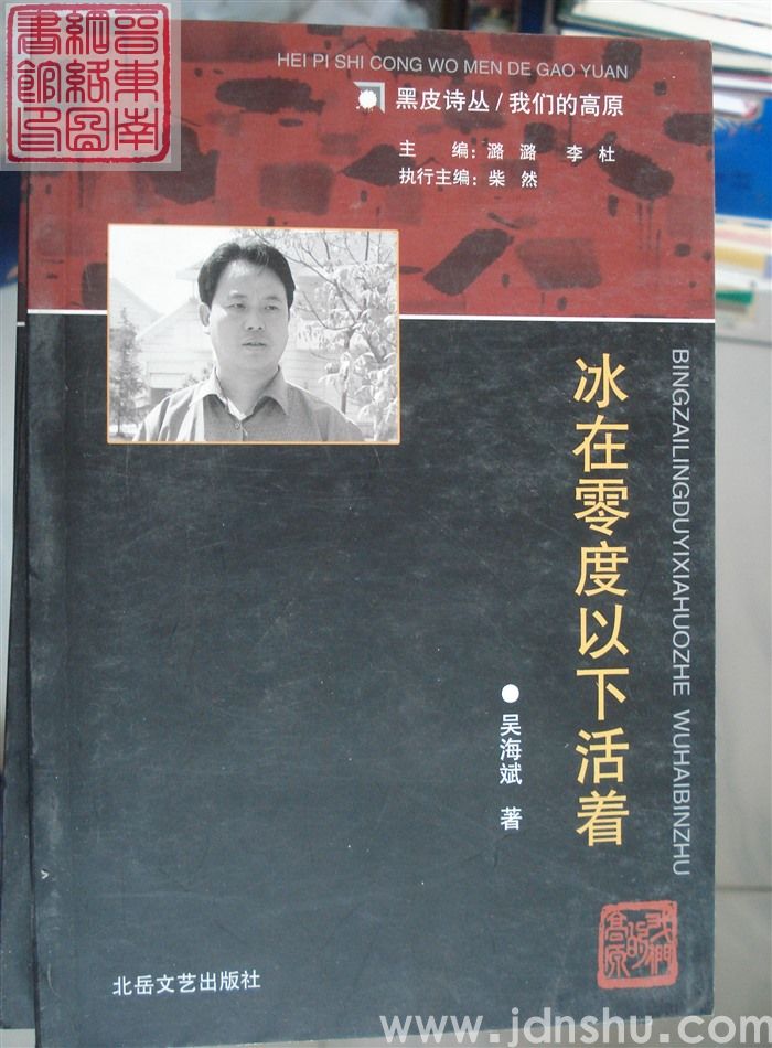 黑皮诗丛·我们的高原：冰在零度以下活着