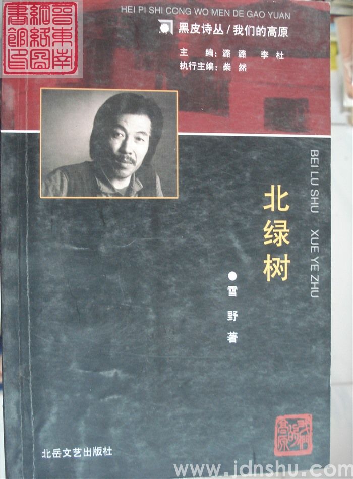 黑皮诗丛·我们的高原：北绿树