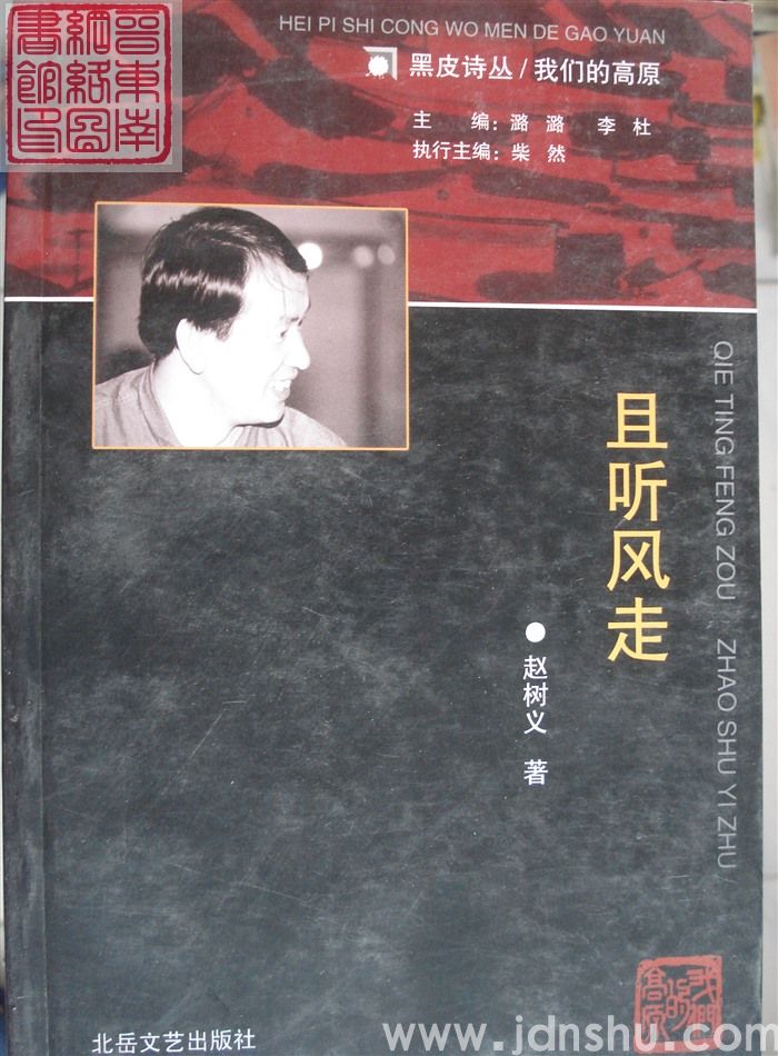 黑皮诗丛·我们的高原：且听风走