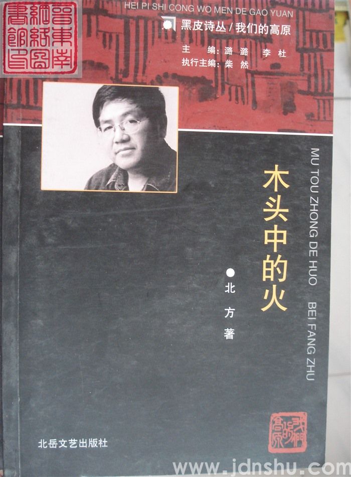 黑皮诗丛·我们的高原：木头中的火