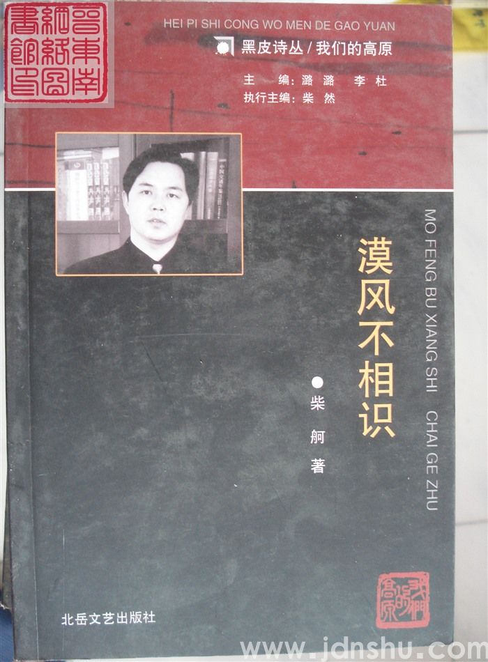 黑皮诗丛·我们的高原：漠风不相识