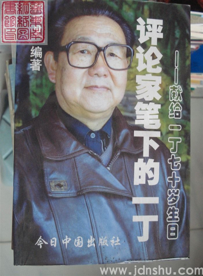 评论家笔下的一丁