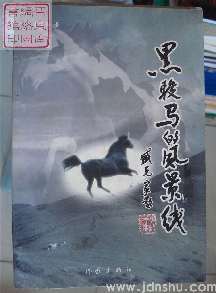 黑骏马的风景线