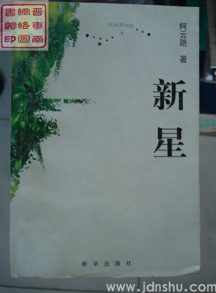 柯云路作品集1：新星