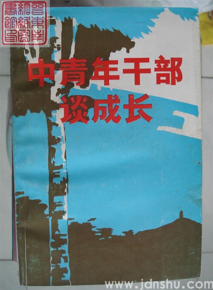 中青年干部谈成长