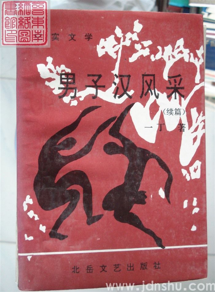 男子汉风采（续篇）