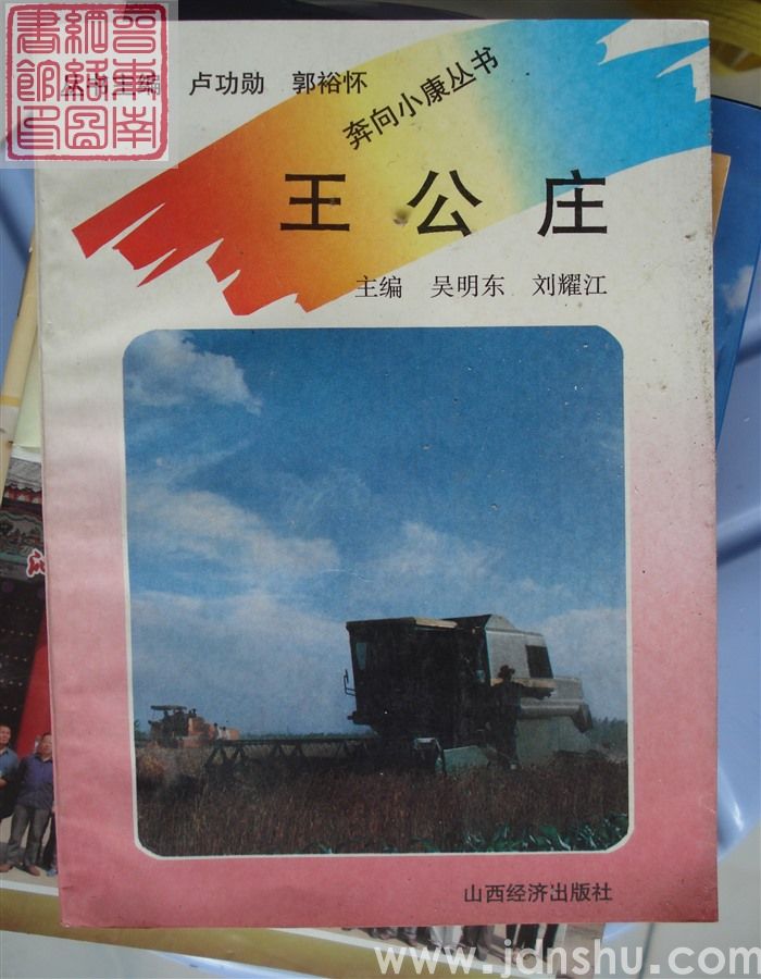 奔向小康丛书：王公庄