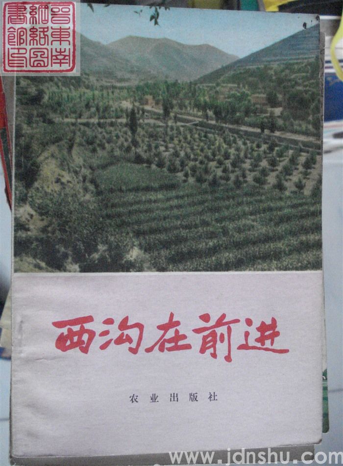西沟在前进（农业版）