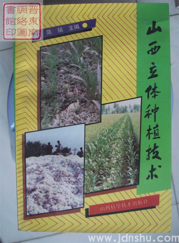 山西立体种植技术