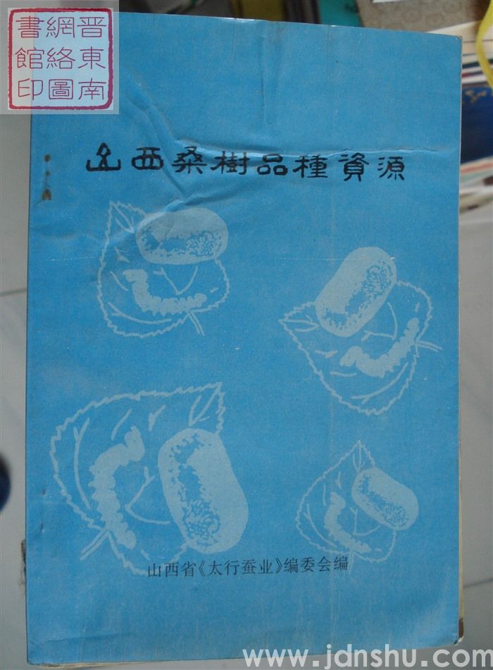 山西桑树品种资源