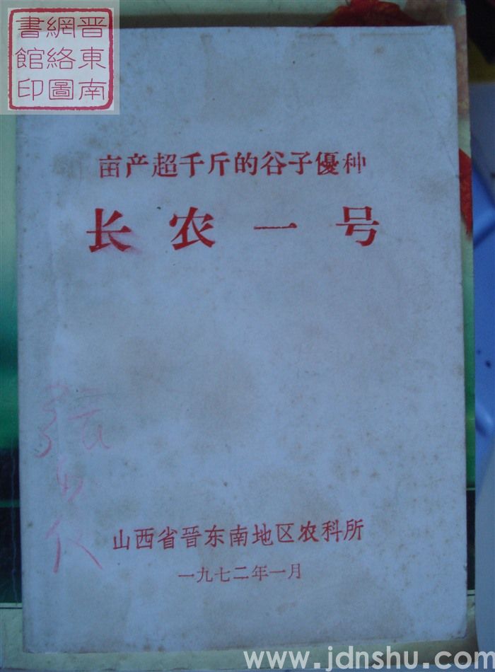 亩产超千斤的谷子优种长农一号