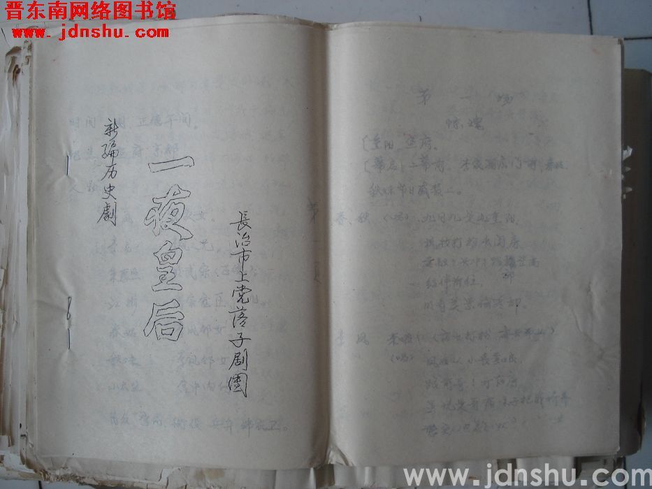 新编历史剧：一夜皇后