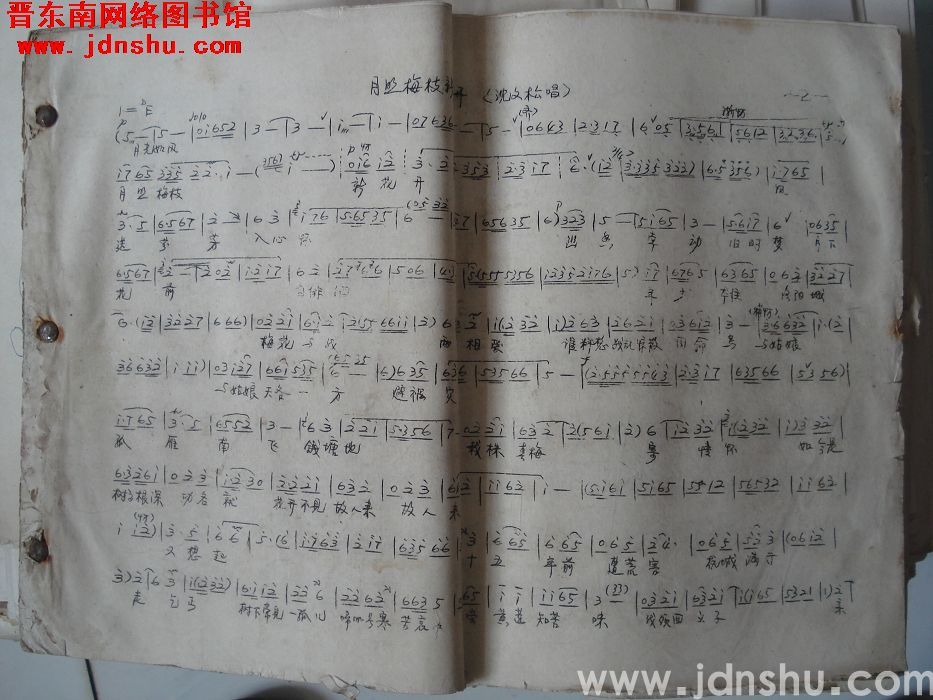 《月照梅枝新花开》曲谱