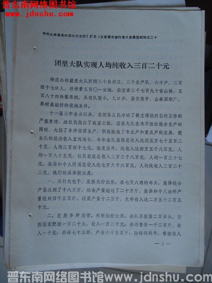 中共沁水县委六届七次全委（扩大）会议暨劳模代表大会典型材料之二十：团里大队实现人均纯收入三百二十元