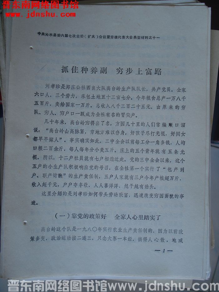 中共沁水县委六届七次全委（扩大）会议暨劳模代表大会典型材料之十一：抓住种养副 穷步上富路