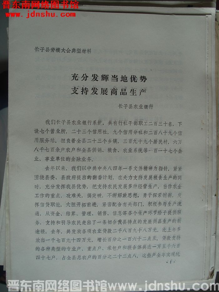 长子县劳模大会典型材料：充分发挥当地优势 支持发展商品生产