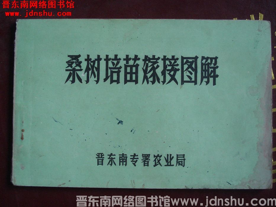 桑树培苗嫁接图解