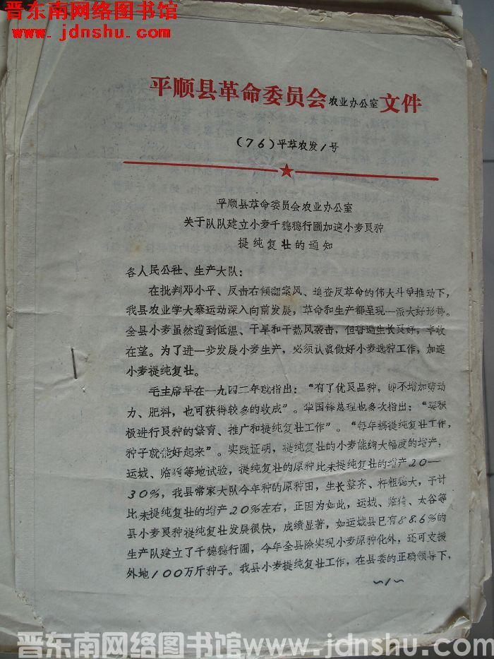 平顺县革命委员会农业办公室文件 （76）平革农发1号：平顺县革命委员会农业办公室关于队队建立小麦千穗