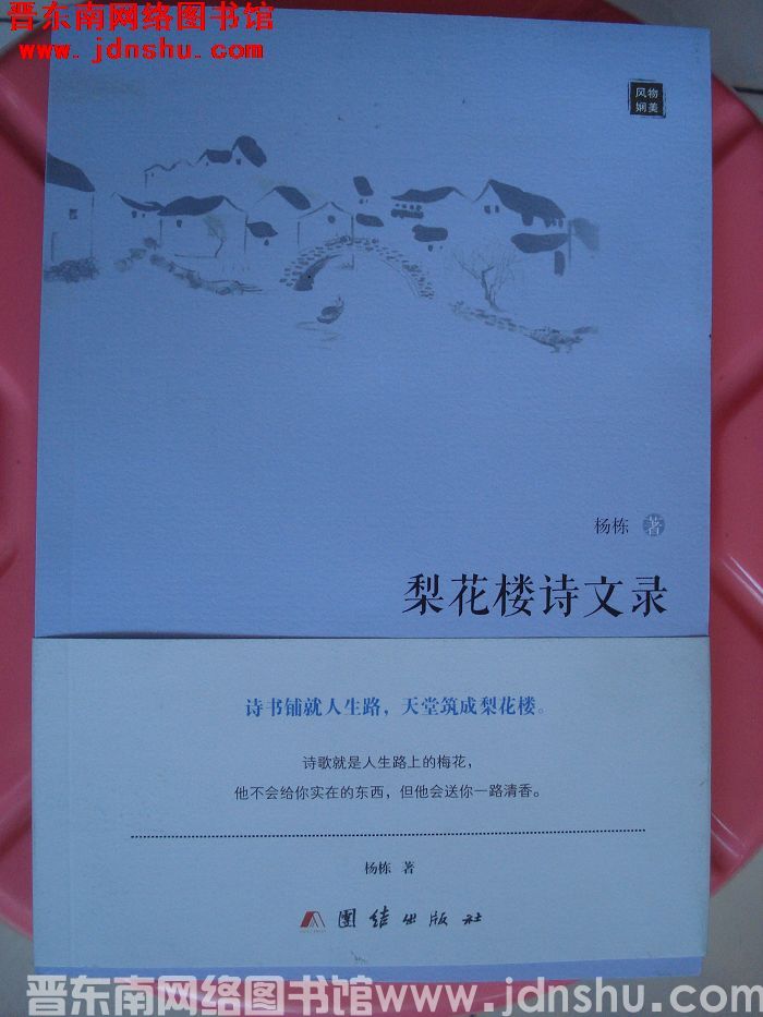 梨花楼诗文录：杨栋小说