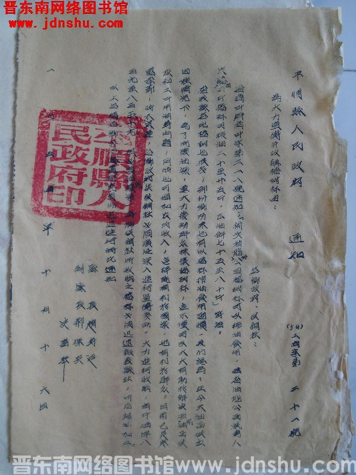 平顺县人民政府通知 （54）工商字第21号：为大力宣传并收购椿树籽由