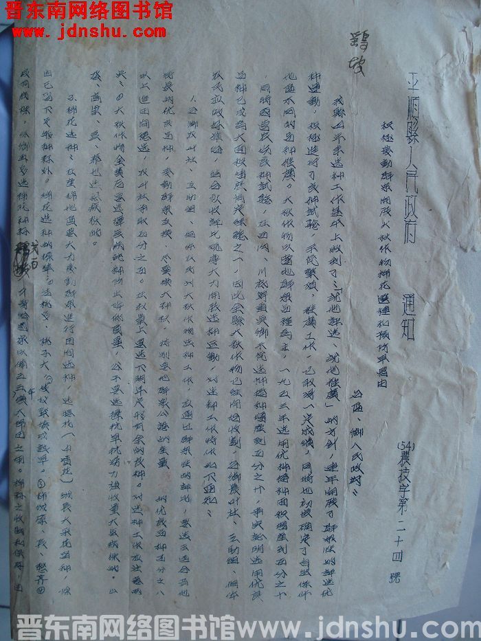 平顺县人民政府通知 （54）农技字第24号：积极发动群众开展大秋作物棉花选种和预防早霜由