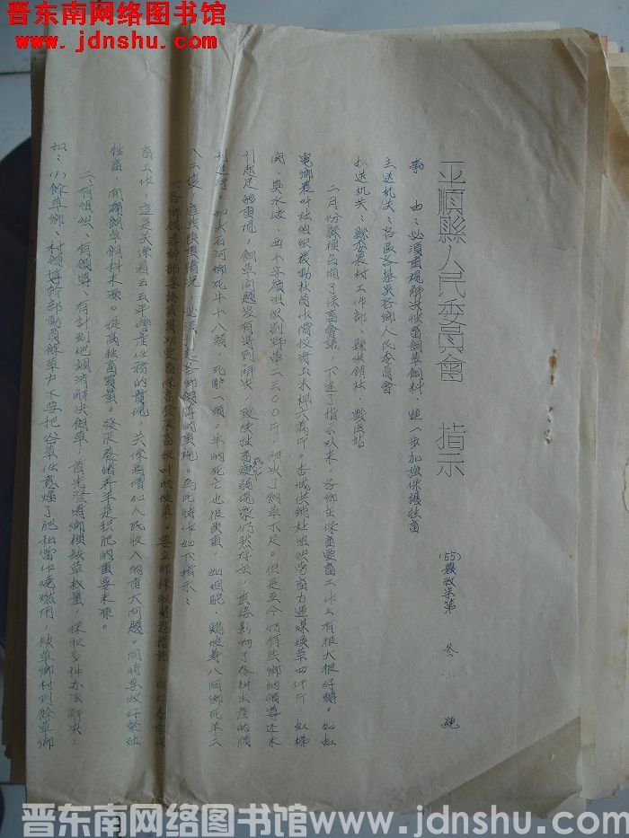 平顺县人民委员会指示（55）农牧字第3号：必须重视解决牲畜饲草饲料，进一步加强保护牲畜