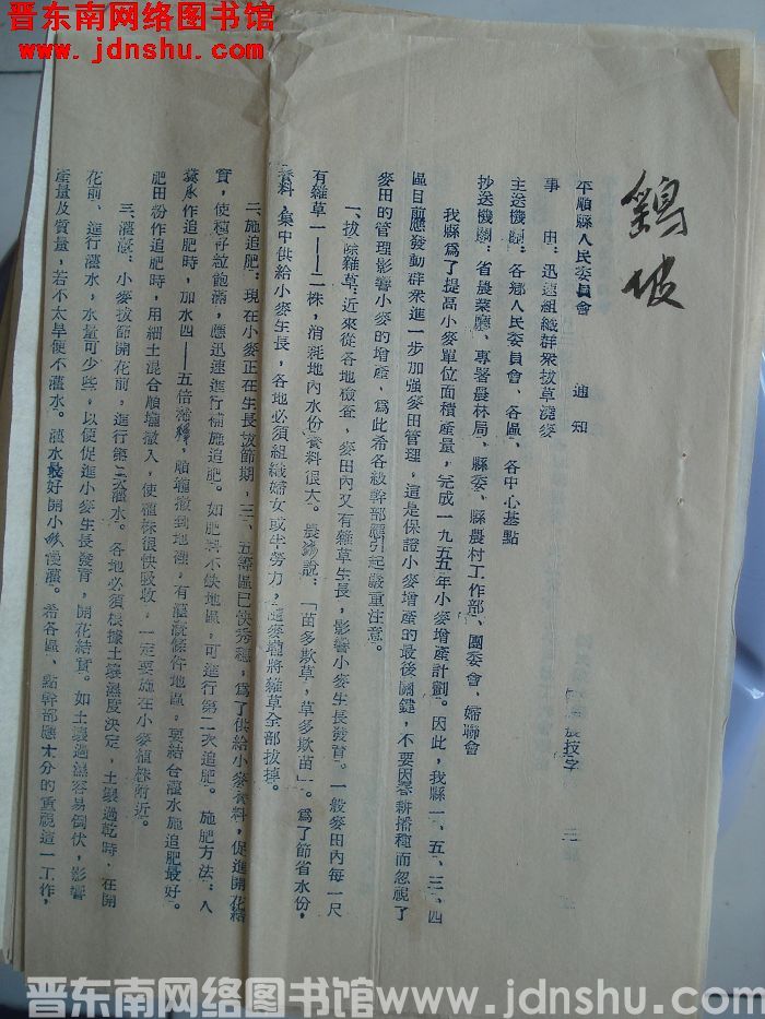 平顺县人民委员会通知（55）农技字第3号：迅速组织群众拔草浇麦