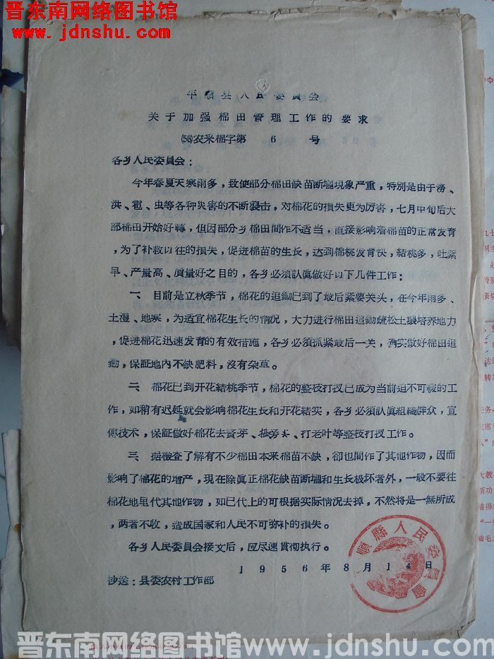 平顺县人民委员会关于加强棉田管理工作的要求（56）农采棉字第6号