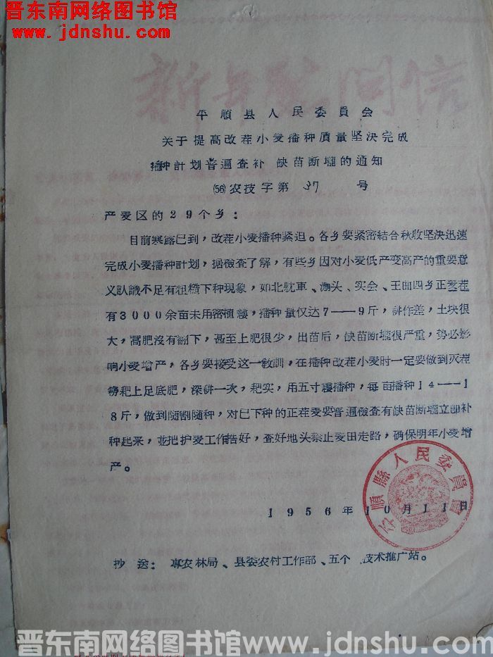 平顺县人民委员会关于提高改茬小麦播种质量坚决完成播种计划普遍查补缺苗断垄的通知（56）农技字第37号