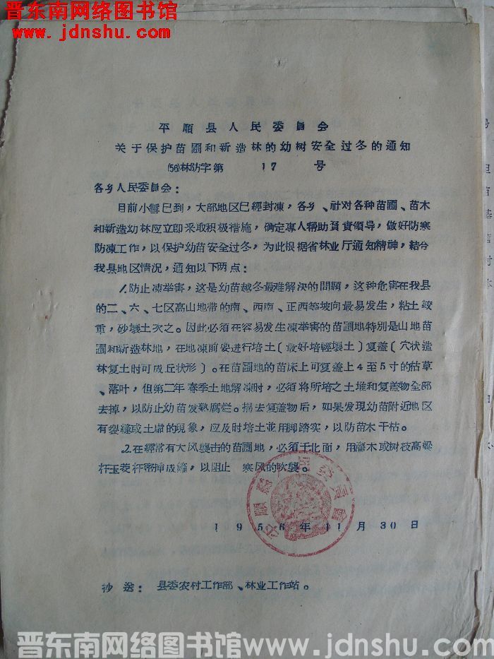 平顺县人民委员会关于保护苗圃和新造林的幼树安全过冬的通知（56）林防字第17号