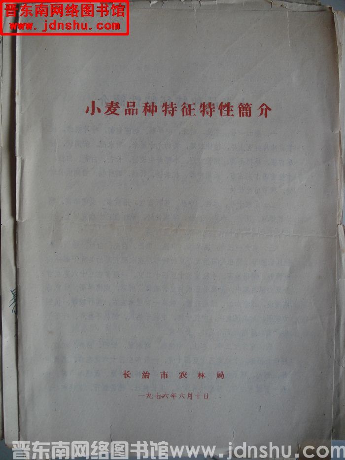 小麦品种特征特性简介