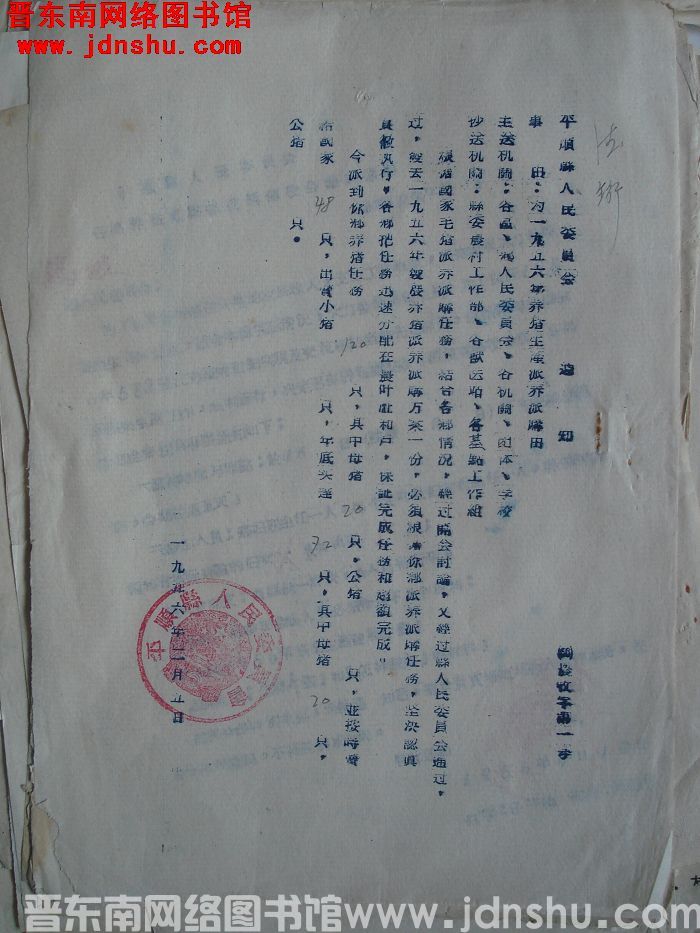 平顺县人民委员会通知（56）农牧字第1号：为一九五六年养猪生产派养派购由