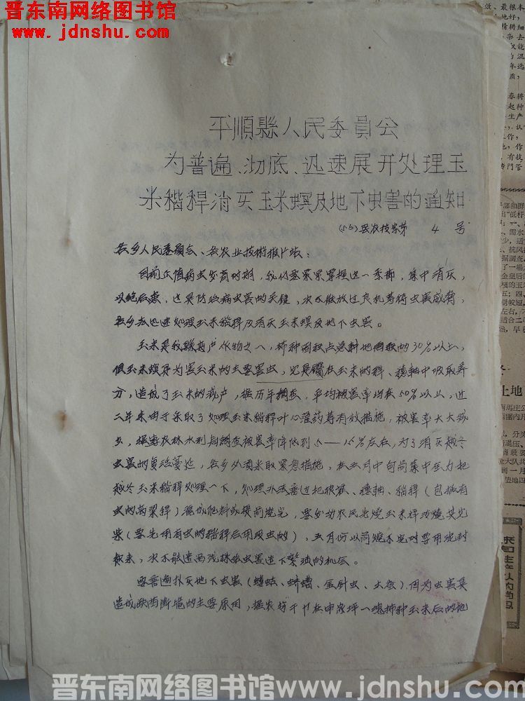 平顺县人民委员会为普遍、彻底、迅速展开处理玉米秸秆消灭玉米螟及地下虫害的通知（56）县农技字第4号