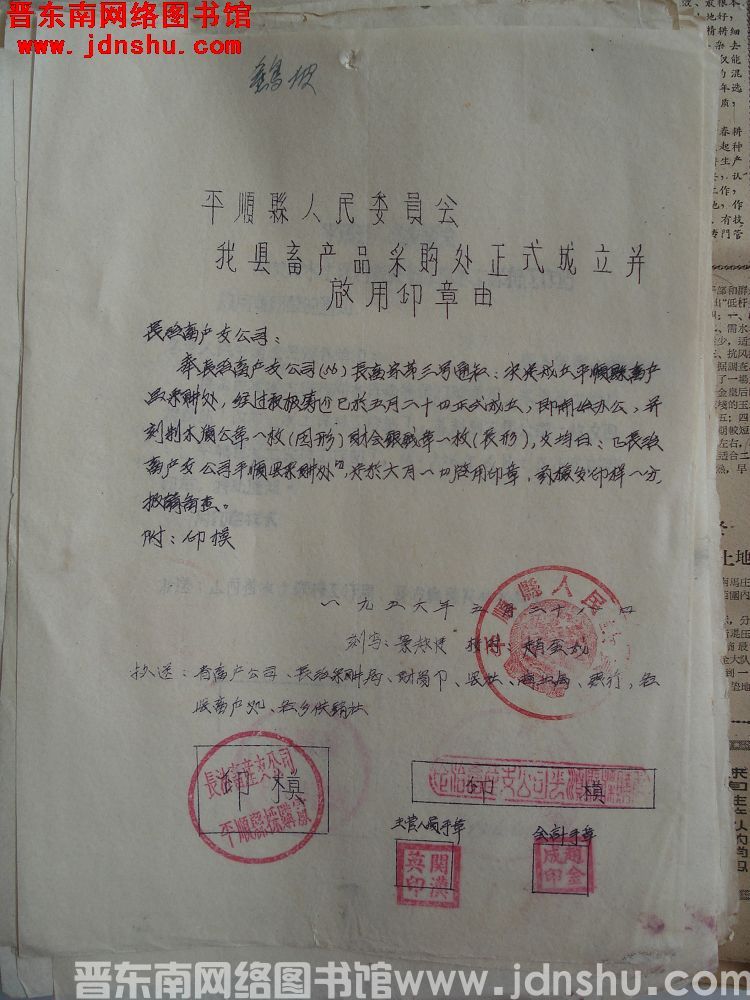 平顺县人民委员会我县畜产品采购处正式成立并启用印章由（19560528）