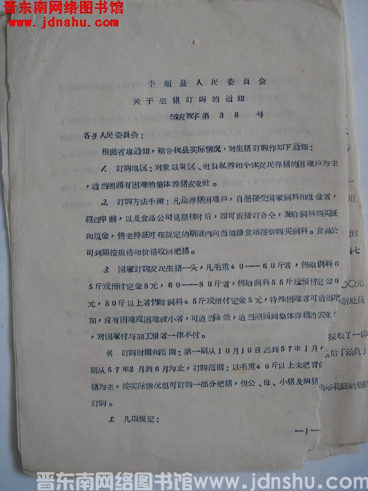 平顺县人民委员会关于生猪订购的通知（56）农牧字第38号