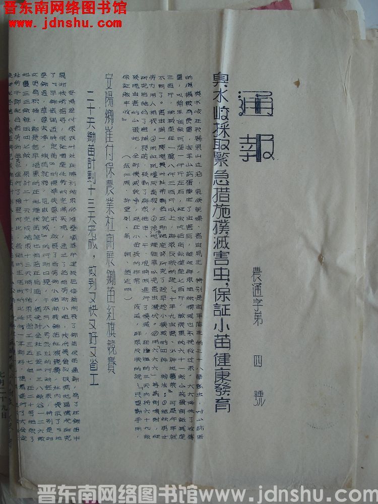 平顺县府生产办公室通报（19540627）农通字第4号：臭水峧采取紧急措施扑灭害虫，保证小苗健康发育