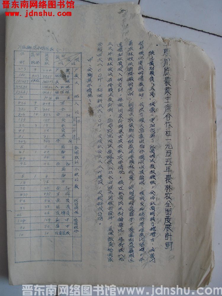 平顺川底农业生产合作社一九五五年农林牧全面发展计划