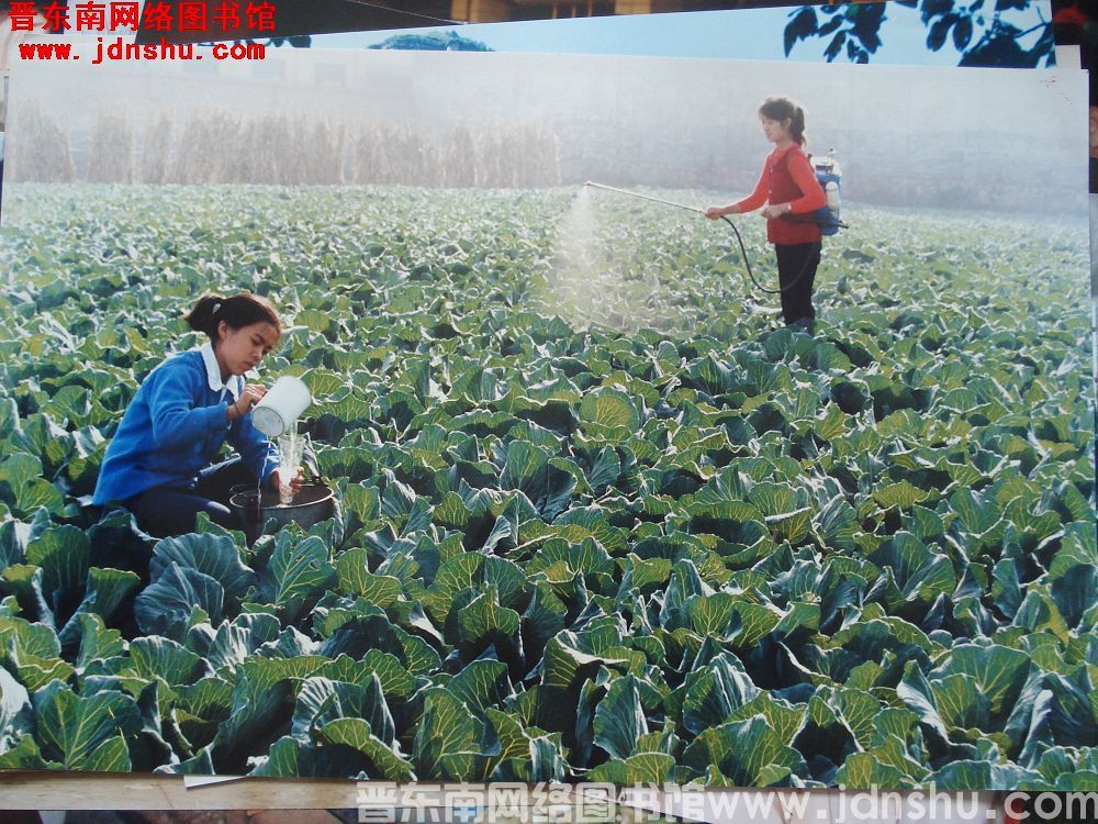 照片：科学致富