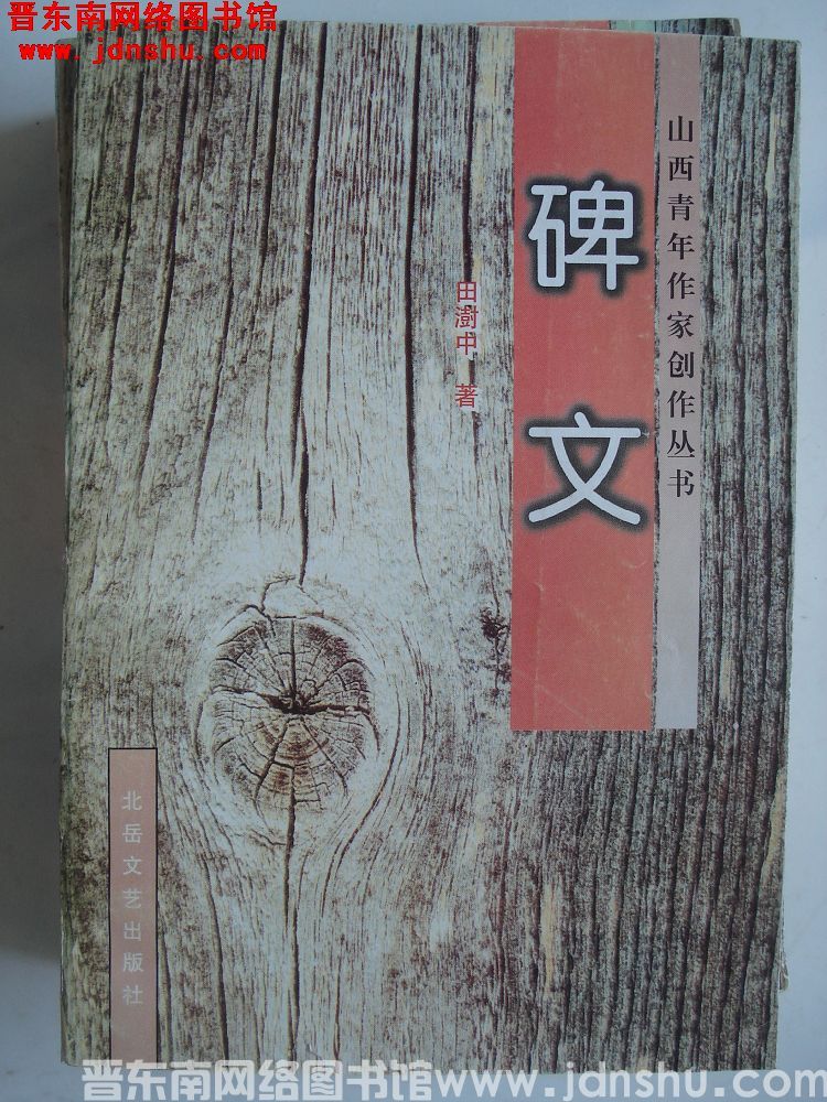 山西青年作家创作丛书：碑文