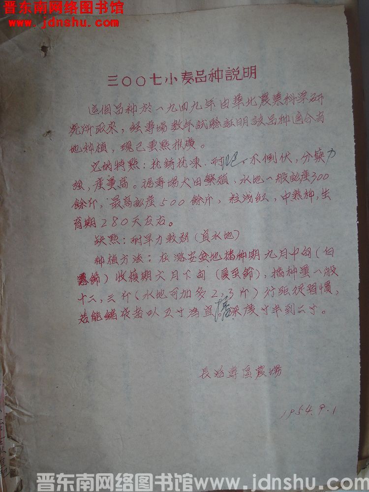 三〇〇七小麦品种说明（19540901）